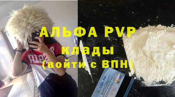 ГАЛЛЮЦИНОГЕННЫЕ ГРИБЫ Богданович