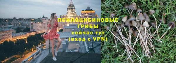 молекула духа Струнино