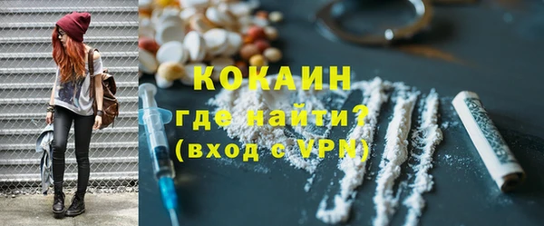дживик Богородск