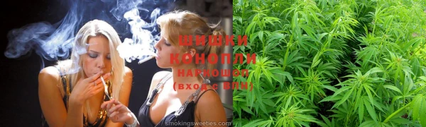дживик Богородск