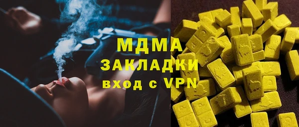 ГАЛЛЮЦИНОГЕННЫЕ ГРИБЫ Богданович