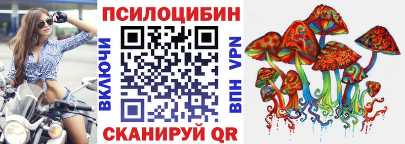 купить наркотики сайты  Городовиковск  Галлюциногенные грибы MAGIC MUSHROOMS 
